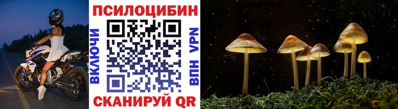 Псилоцибиновые грибы Psilocybe  купить закладку  Конаково 